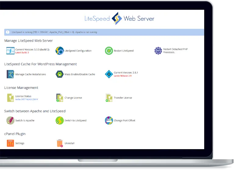 litespeed hosting